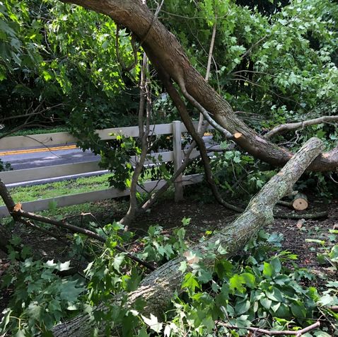 storm damaged trees stroudsburg pa