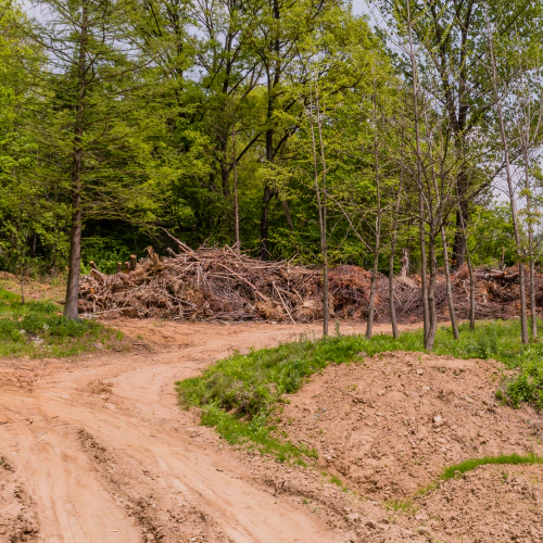 service land clearing stroudsburg pa